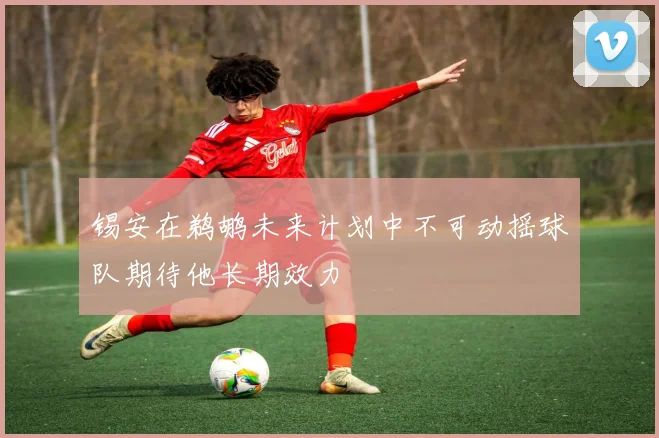 锡安在鹈鹕未来计划中不可动摇球队期待他长期效力
