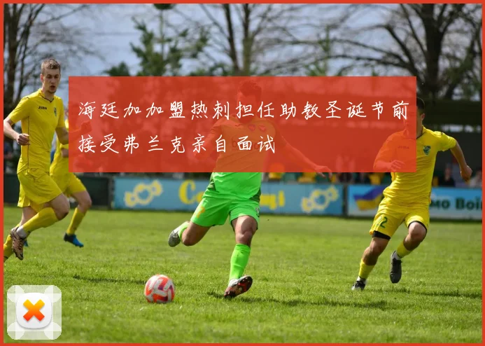 海廷加加盟热刺担任助教圣诞节前接受弗兰克亲自面试