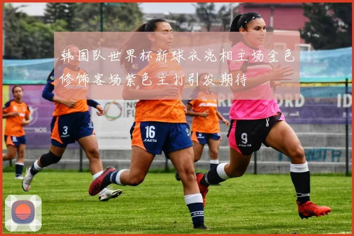 韩国队世界杯新球衣亮相主场金色修饰客场紫色主打引发期待
